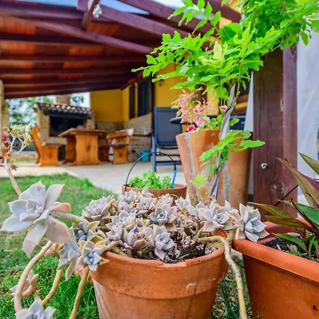 Tatil Evi Sunny House Smokovic