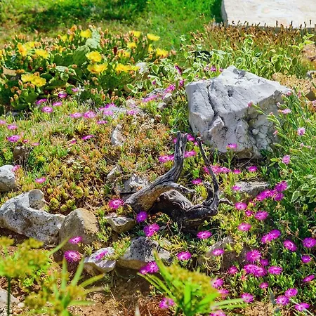 Sunny House Ferienhaus