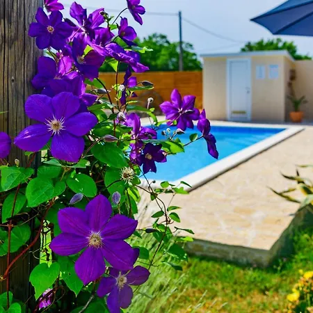 Sunny House Ferienhaus