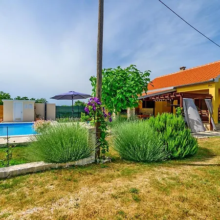 Sunny House