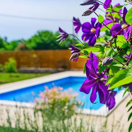 Sunny House Ferienhaus Smokovic