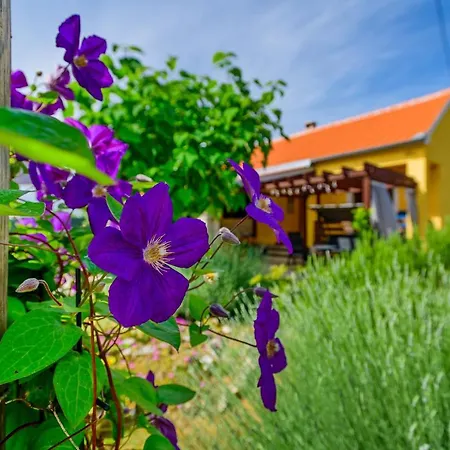 Ferienhaus Sunny House