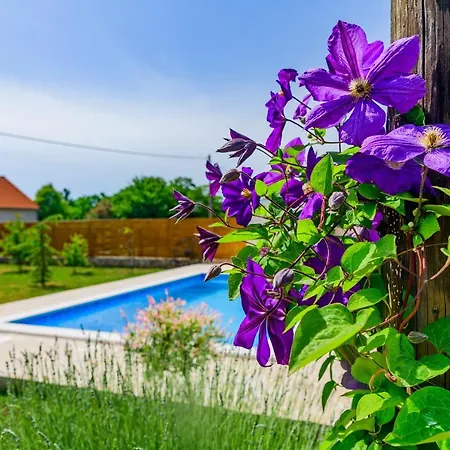 Sunny House Smokovic