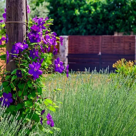 Ferienhaus Sunny House *