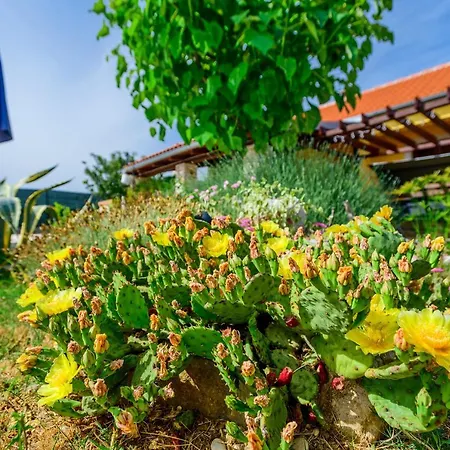 Tatil Evi Sunny House Smokovic