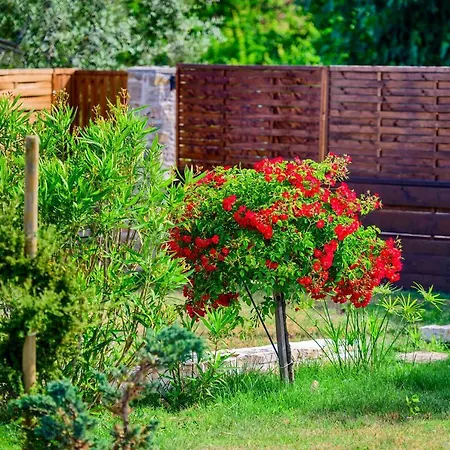 Sunny House Ferienhaus Smokovic