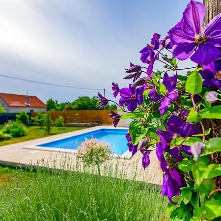 Sunny House Ferienhaus