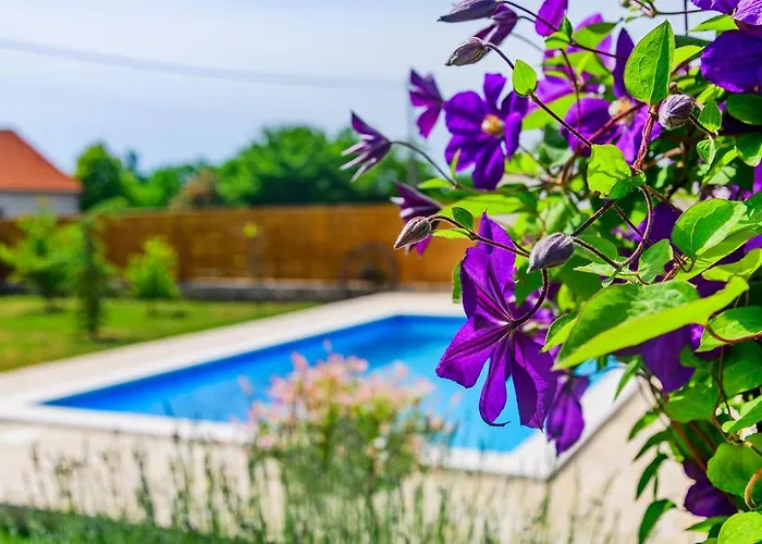 Sunny House Дом отдыха Smokovic