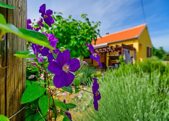 Дом отдыха Sunny House