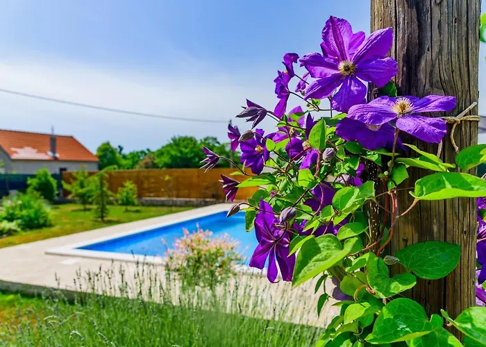 Sunny House Smokovic