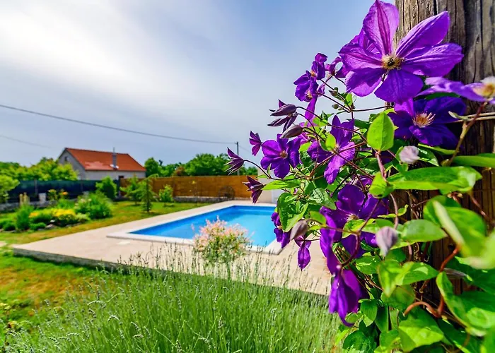 Sunny House Дом отдыха