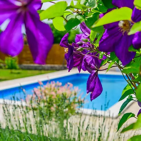 Sunny House Smokovic