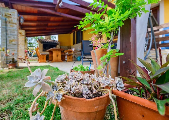 Σπίτι διακοπών Sunny House Smokovic