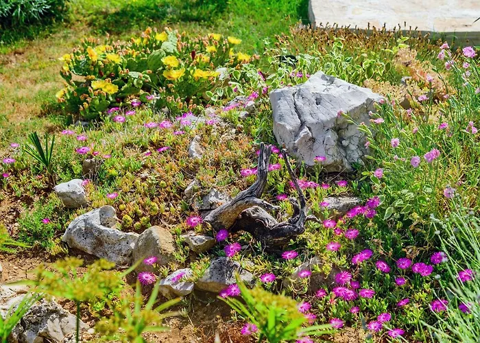 Sunny House Σπίτι διακοπών