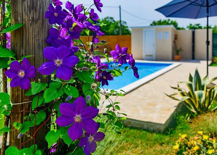 Sunny House Σπίτι διακοπών