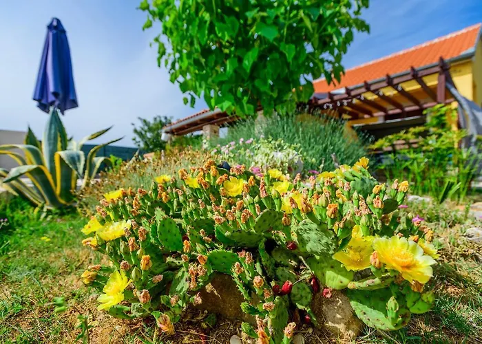 Σπίτι διακοπών Sunny House Smokovic