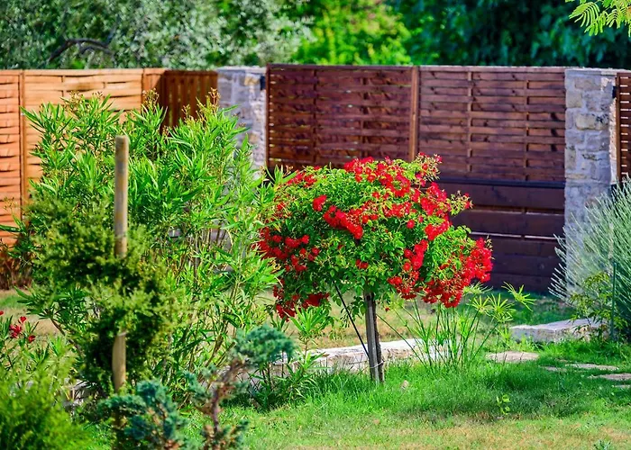 Sunny House Σπίτι διακοπών Smokovic